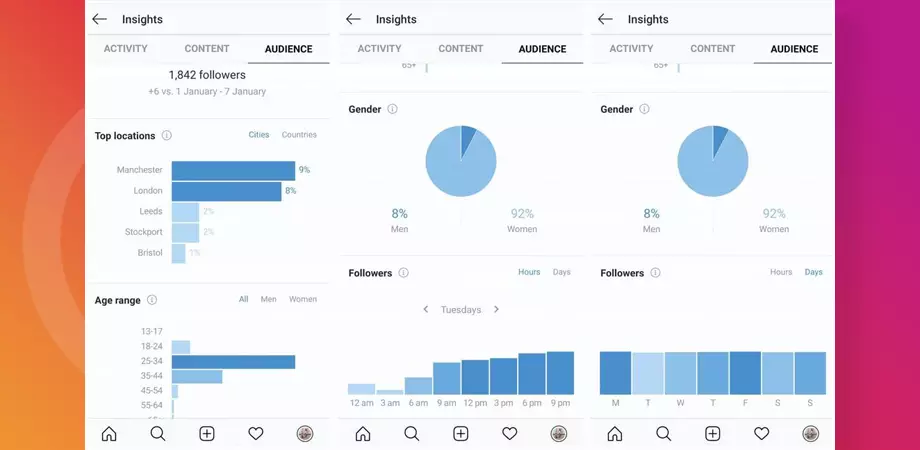 Instagram Audience Insight