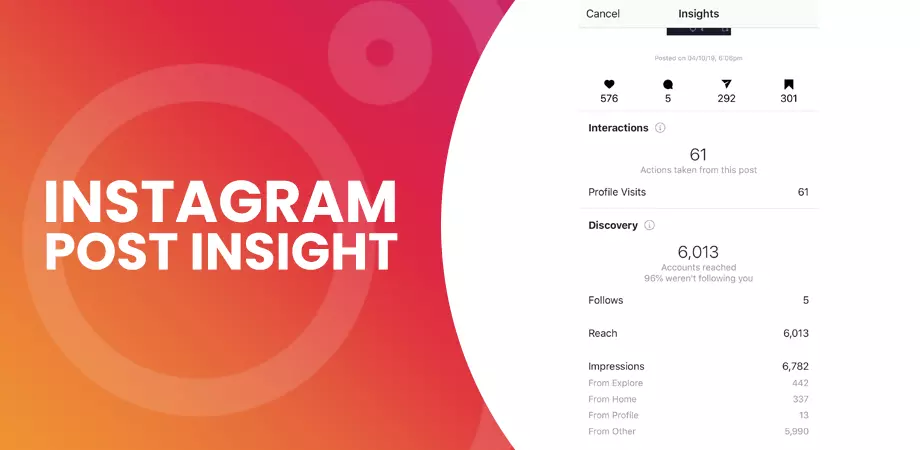 Instagram Post Insight