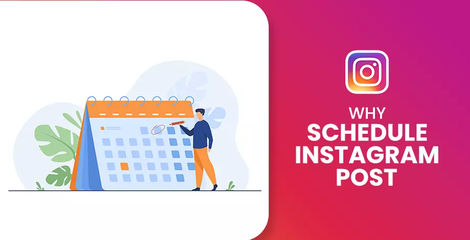 Why Schedule Instagram Posts
